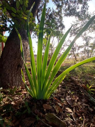 Chalé aconchegante, pertinho da cidade e conectada a natureza