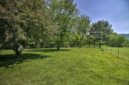 Cozy Cabin with Patio on Craig Creek Pets OK!