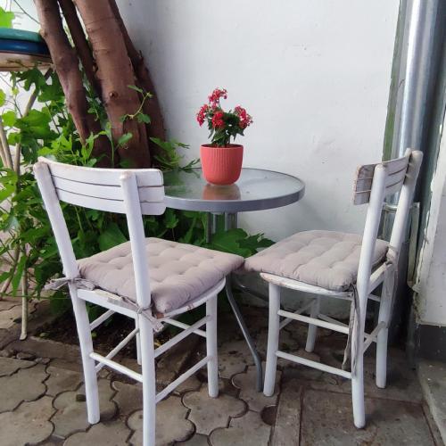 Centar Novi Sad-Apartman No 3 PARKING ON REQUEST - image 3
