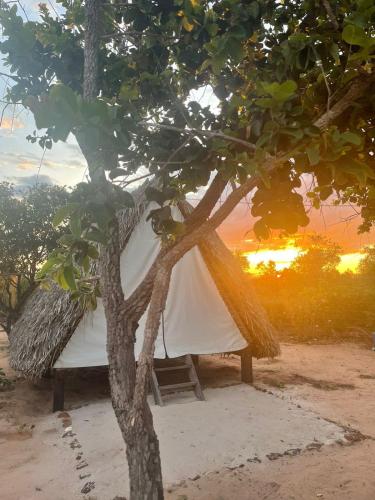 Skats, Cabana Camping Jalapão (Cabana Camping Jalapao) in Angikala