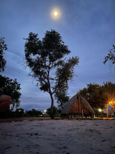 Cabana Camping Jalapão (Cabana Camping Jalapao) in Angikala