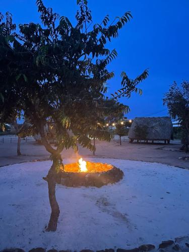 Cabana Camping Jalapão (Cabana Camping Jalapao) in Angikala