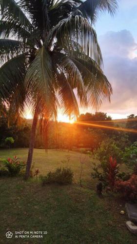 Villa tropicale charmant T2 dans un cadre verdoyant - Location saisonnière - Gros-Morne