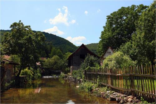 運動及活動, 弗路塔里文德加酒店 (Fruktarium vendeghaz) in 阿格特列克