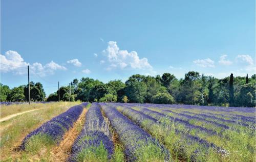 4 Bedroom Beautiful Home In Pont Saint Esprit