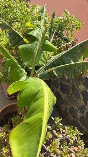 Monolocale “ I Nobili” chambre d'hôte Casa Balzano