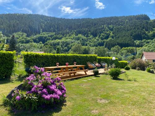 Gîte Chalet avec bain nordique et piscine 11 pers Hautes Vosges