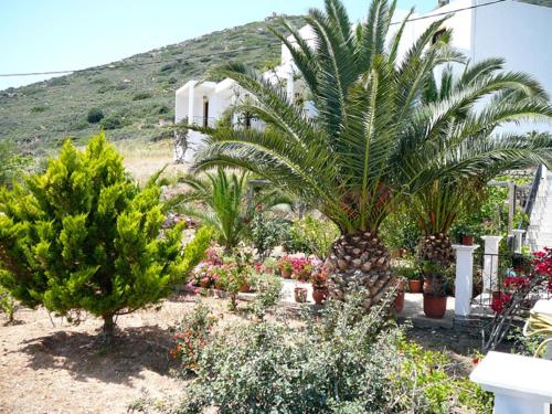 Hotel Porto Potha - main image