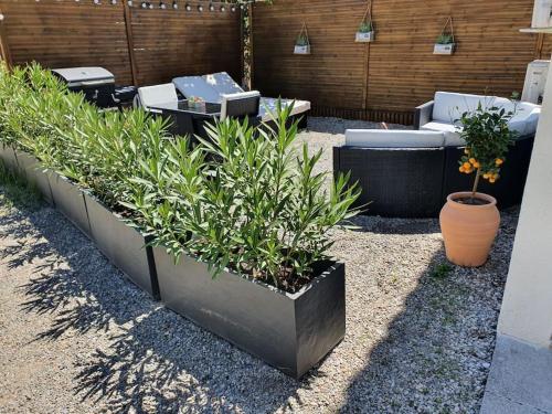 Location maison avec extérieur gîte à louer Villeneuve-lès-Avignon