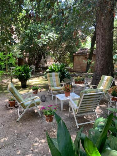 Super attico della Brigata Spendereccia! Room Type - Apartment with Garden View