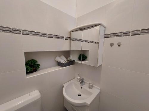 One-Bedroom Apartment room in Apartment Hrzic Malinska