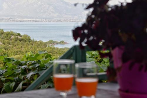 B&B Bar - Skadar Lake House - Bed and Breakfast Bar