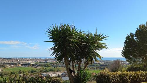 Profumo di Campagna chambre d'hôte Colonnella
