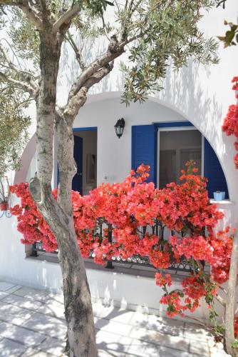 Bejárat, Dedalos Studios Naxos in Naxos Island