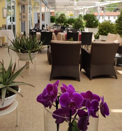 Belvedere Resort Ai Colli Hotel de charme Rovigo