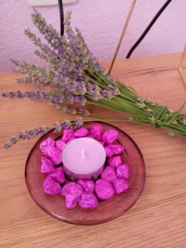 Apartman Lavanda M