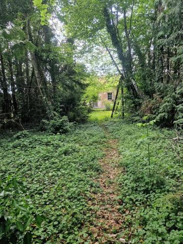 Ancienne étable chaleureuse avec cheminée gîte à louer Salbris