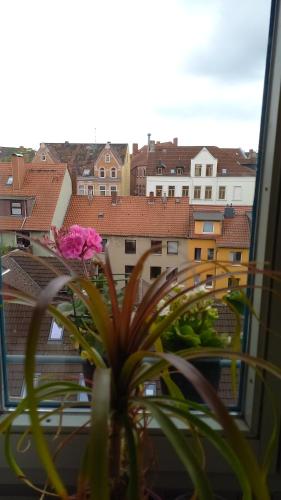 Agnes Vintage Home, Hanovre (photo 8)