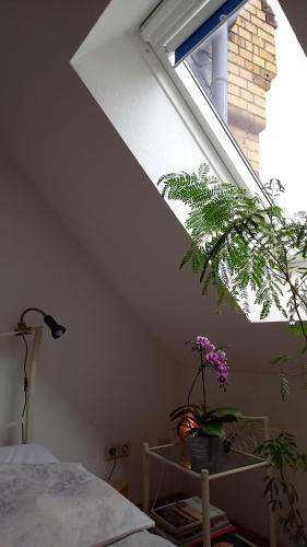 Agnes Vintage Home, Hanovre (photo 11)