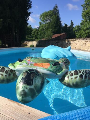 La petite Brainoise - Gîte avec salle jacuzzi 120 jets