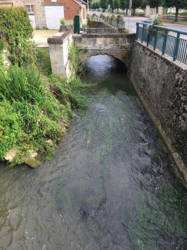 La petite Brainoise - Gîte avec salle jacuzzi 120 jets