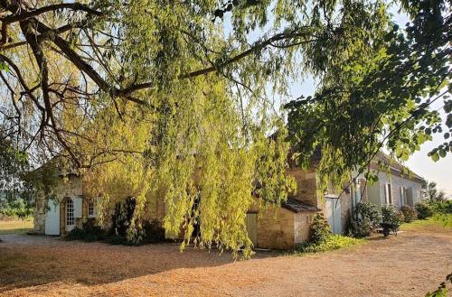 Clair de Vigne - Chambre d'hôtes - Monbazillac