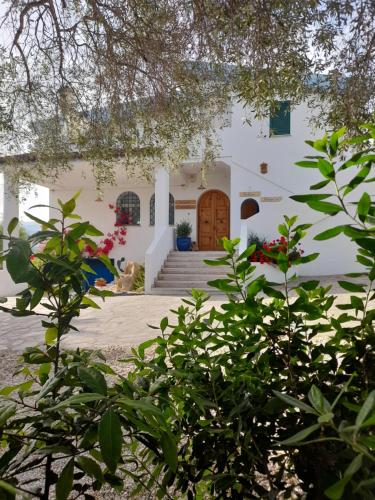 Agriturismo Palas De Serra Country Resort 5