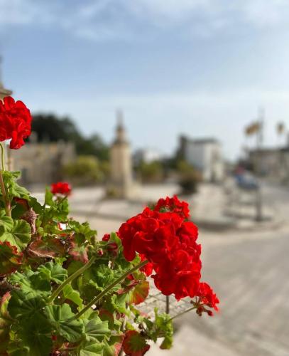 Palazzo Vecchio Cocumola Palazzo Vecchio Cocumola