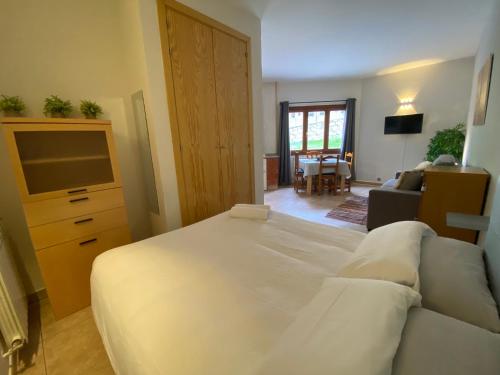 Estudio encantador en el Rio - 2Camas dobles SmartTV y WiFi in Canillo