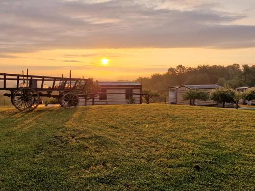 VINEA PANONIKA wine & mind retreat VINEA PANONIKA wine & mind retreat