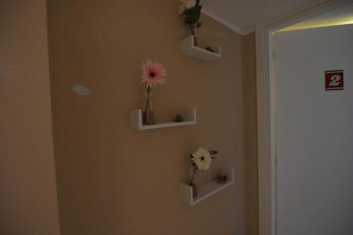 CLC Home B&B in Cosenza