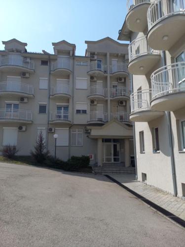 Smeštaj Voli - Borići studio-apartman, Sokobanja, Soko Banja (fotografie 5)