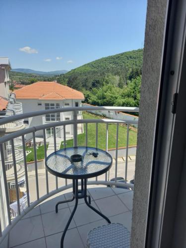 Smeštaj Voli - Borići studio-apartman, Sokobanja, Soko Banja (fotografie 7)