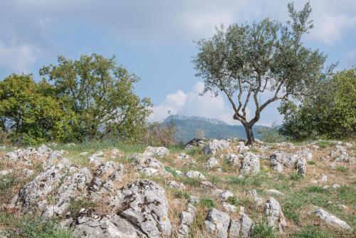 Heritage mountain top Villa near Rome w/ Pool & Panoramic views