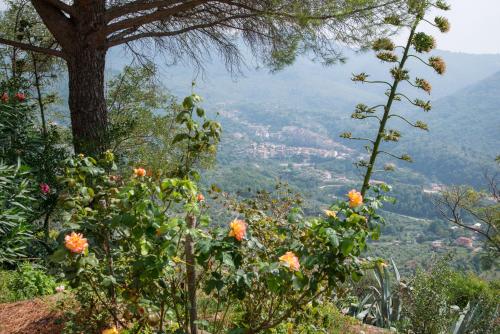 Heritage mountain top Villa near Rome w/ Pool & Panoramic views