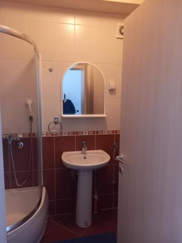 Smeštaj Voli - Borići studio-apartman, Sokobanja, Soko Banja (fotografie 3)