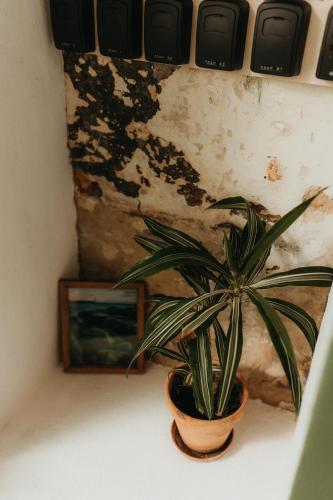 Hostal Africa - image 2