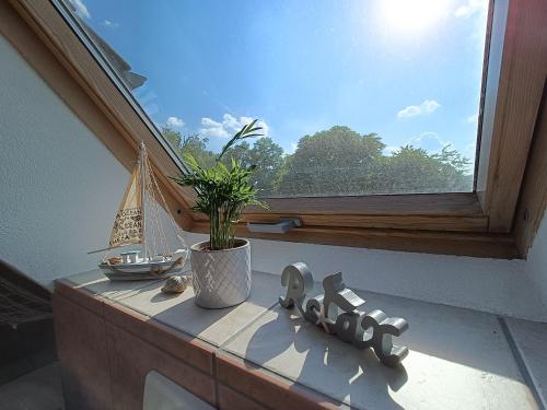 Casa Impex in Walldorf, Deutschland