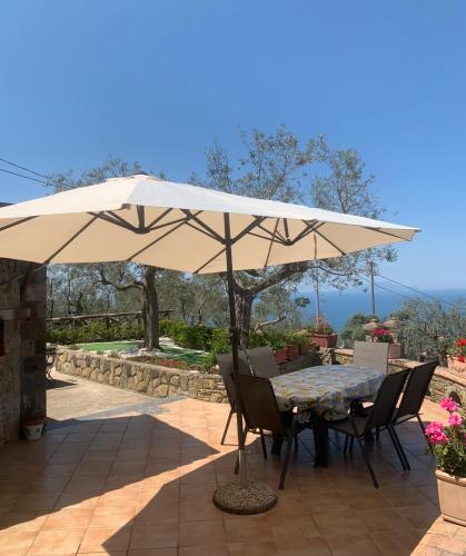 A Sorrento 2