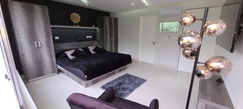 One-Bedroom Apartment image 10