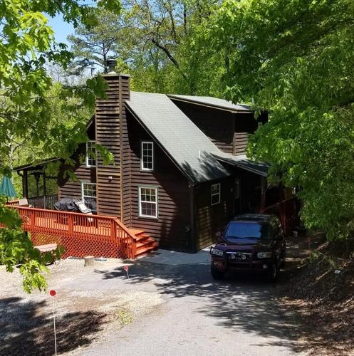 Eagles nest in Blairsville, USA