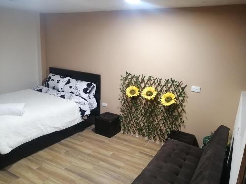 1 double bed, 1 sofa bed