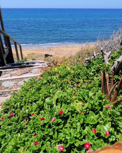 Shambala Beach House-where mountains meet the sea