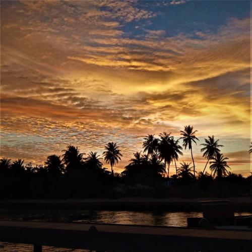 Velaa Garden View, Fodhdhoo- Maldives