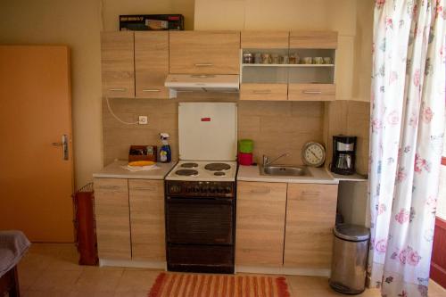 Michael Apartment in Ag. Andreas (Messinia)
