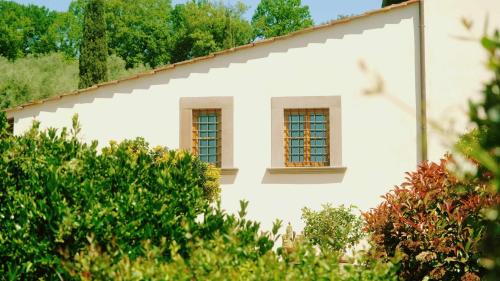 Il Frantoio delle Grazie - image 8