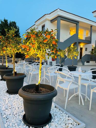  Acrotel Lily Ann Village in Nikiti