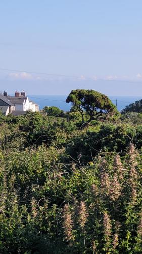 Cosy terraced Cornish cottage near the sea