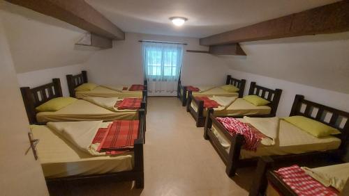 Single Bed in Mixed Dormitory Room