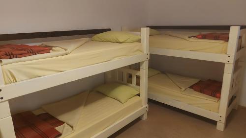 Bed in 8-Bed Mixed Dormitory Room